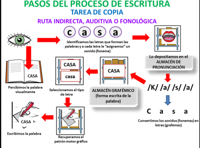 COPIA RUTA FONOLÓGICA