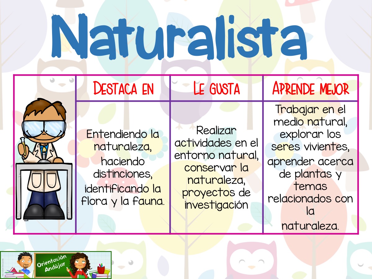 Resultado de imagen de inteligencias multiples EN POCAS PALABRAS