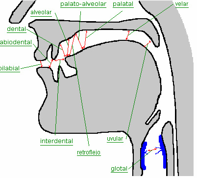 psicopatologia-de-las-dislalias