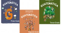 Cuadernos de matemáticas que abarcan toda la primaria, constan de dos archivos para cada curso un cuaderno para el alumno y un cuaderno para el profesor. Durante varios años, el […]