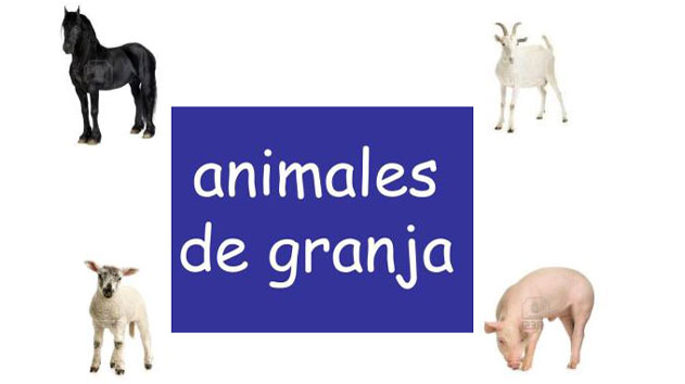 Colecciones de bits de Inteligencia 11-15. Cada presentación realizada en Power point consta. De tres secuanciaciones diferentes de las 5 palabras presentadas con inmágenes reales. Cada una de la presentaciones […]