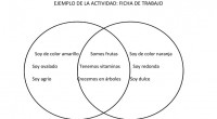 Nuevas actividades para categorizar y trabajar las semejanzas y difenrecias entre dos items representados en imáganes que representas dos objetos, utensilios, monedas, billetas, etc. Nuestros alumnos deben de seguir las...