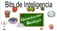 Colecciones de bits de Inteligencia 50-55 Cada presentación realizada en Power point consta. De tres secuanciaciones diferentes de las 5 palabras presentadas con imágenes reales. Cada una de la presentaciones […]