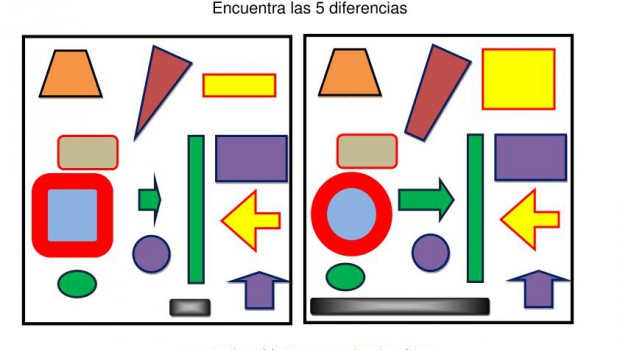CONCEPTOS BASICOS FORMA