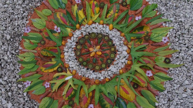 mandalas naturales