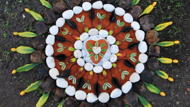 mandalas naturales