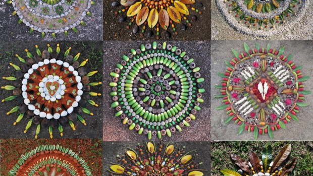 mandalas naturales