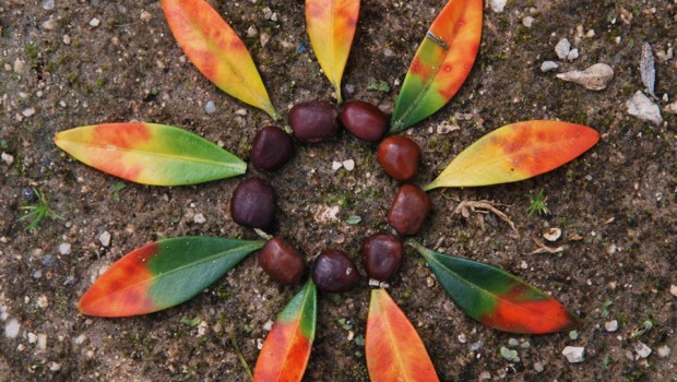 mandalas naturales