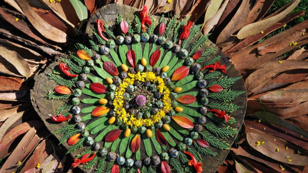 mandalas naturales