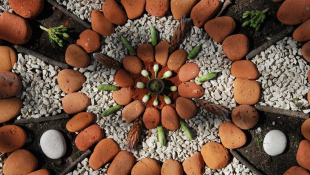 mandalas naturales