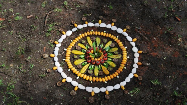 mandalas naturales