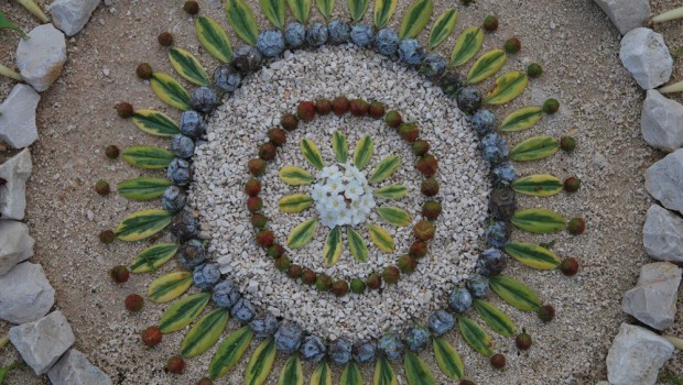 mandalas naturales