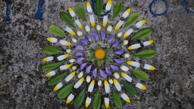 mandalas naturales