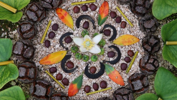 mandalas naturales