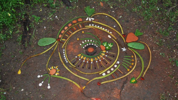 mandalas naturales