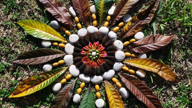 mandalas naturales