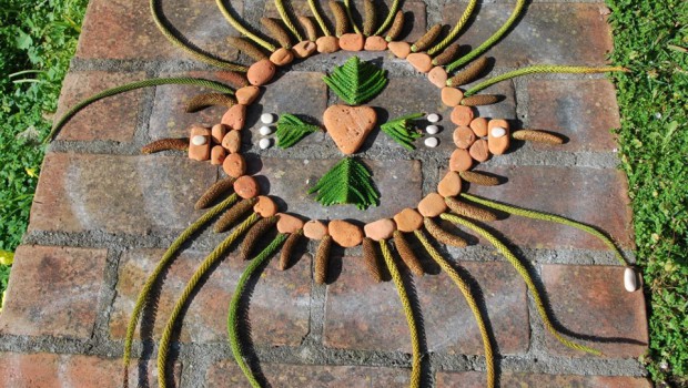 mandalas naturales