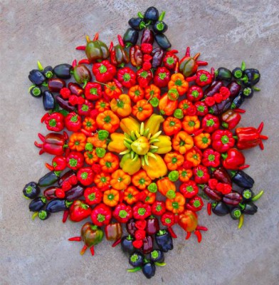 MANDALAS NATURALES