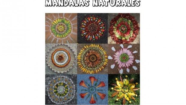 MANDALAS NATURALES