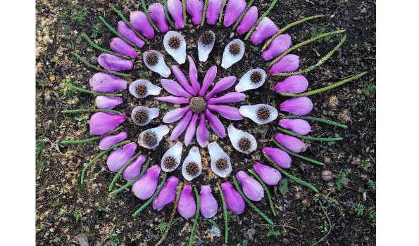 MANDALAS NATURALES