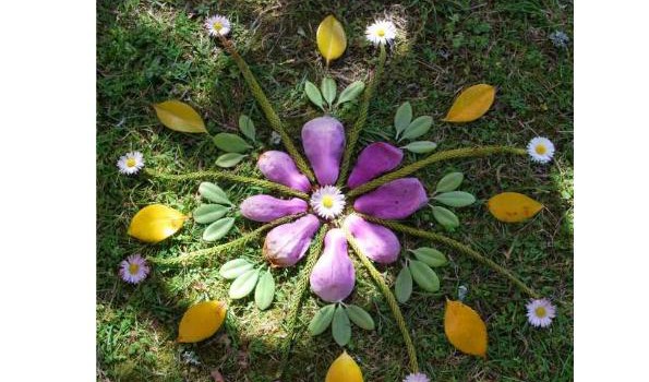 MANDALAS NATURALES