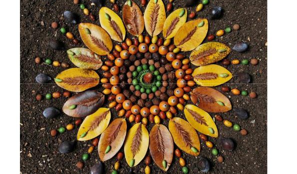 MANDALAS NATURALES