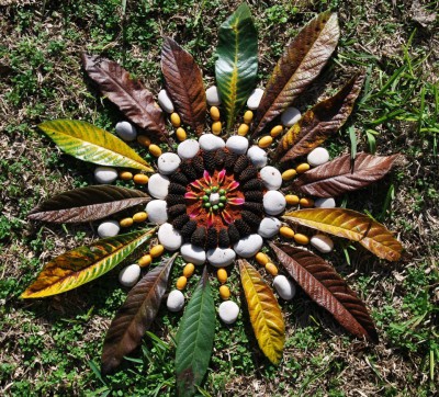 manualidades mandalas naturales