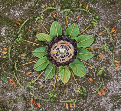 manualidades mandalas naturales