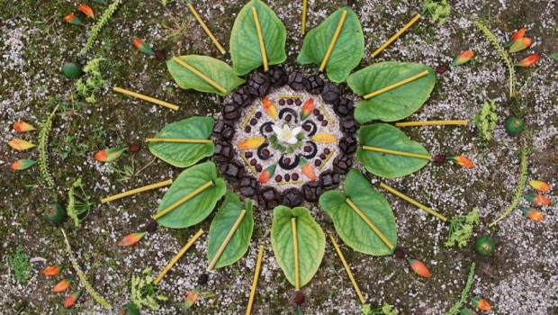 manualidades mandalas naturales