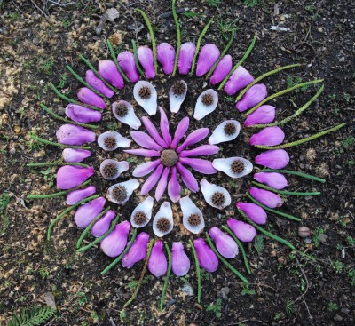 mandalas naturales manualidades (52)