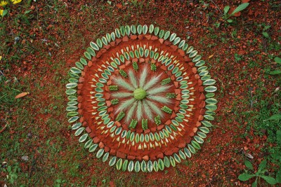 manualidades mandalas naturales