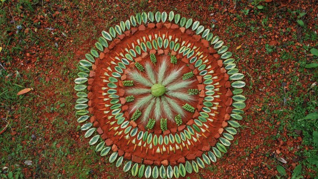 manualidades mandalas naturales