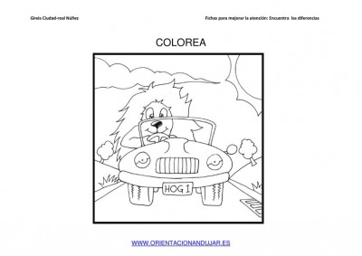 COLOREAR ORIENTACION ANDUJAR