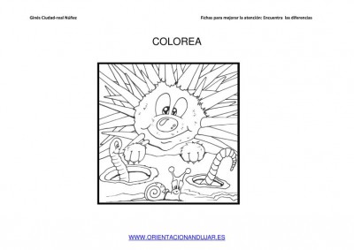 COLOREAMOS DIBUJOS DE ERIZOS IMAGENES_04