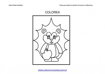 COLOREAMOS DIBUJOS DE ERIZOS IMAGENES_05