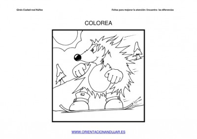 COLOREAMOS DIBUJOS DE ERIZOS IMAGENES_06