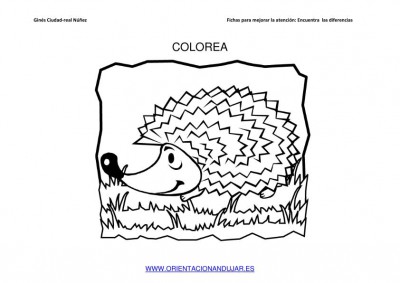 COLOREAMOS DIBUJOS DE ERIZOS IMAGENES_08