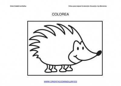 COLOREAMOS DIBUJOS DE ERIZOS IMAGENES_09