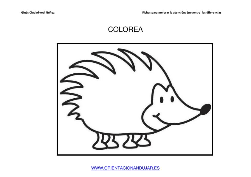 COLOREAMOS DIBUJOS DE ERIZOS IMAGENES_09 - Orientación Andújar - Recursos  Educativos