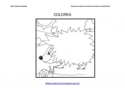 COLOREAMOS DIBUJOS DE ERIZOS IMAGENES_10