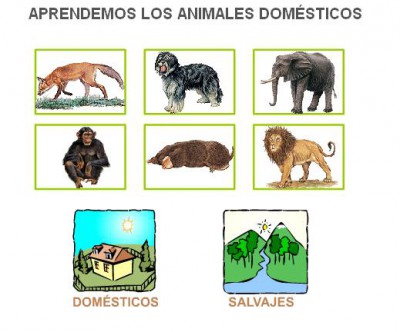 LOS ANIMALES DOMESTICOS Y DE GRANJA ANAYA