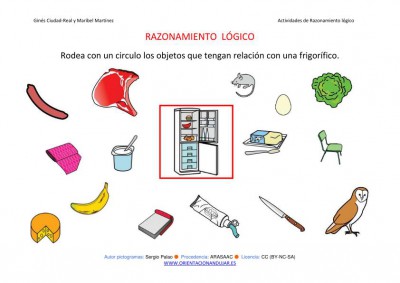 RAZONAMIENTO  LÓGICO categorizar y agrupar  FRIGORIFICO COLOR IMAGEN