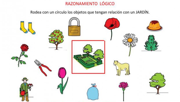 CATEGORIZAR JARDÍN