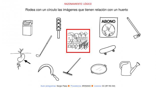 RAZONAMIENTO LÓGICO categorizar y agrupar