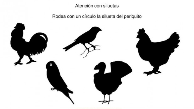 siluetas animales domesticos gallo