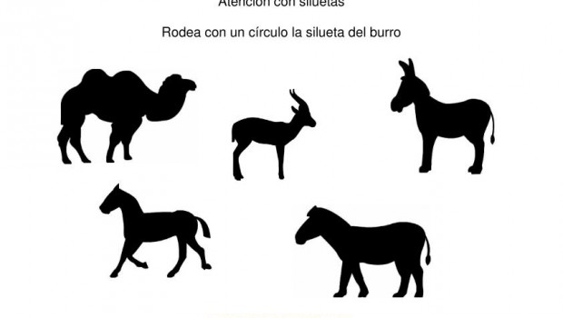 siluetas animales domesticos burro