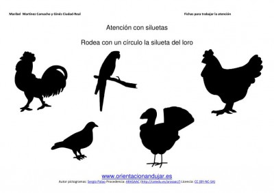 siluetas animales domesticos loro