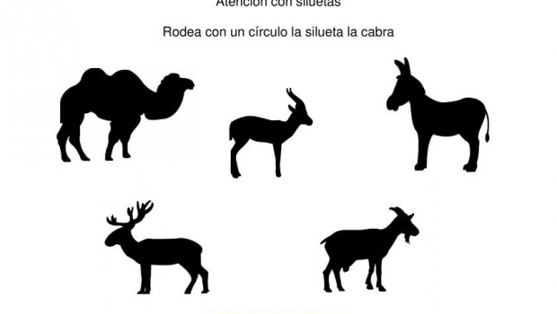 siluetas animales domesticos cabra