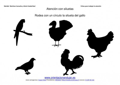 siluetas animales domesticos pavo