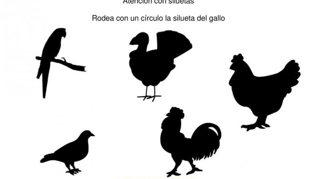 siluetas animales domesticos pavo